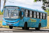 Escolares 4760 na cidade de Teresina, Piauí, Brasil, por Paulo Henrique Pereira Borges. Número da foto: #12617294.