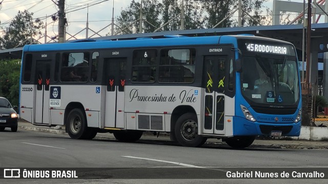 Princesinha do Vale 222350 na cidade de Resende, Rio de Janeiro, Brasil, por Gabriel Nunes de Carvalho. Número da foto: #12618662.