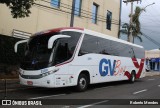 GV Bus Transportes e Turismo 3209 na cidade de Marília, São Paulo, Brasil, por Roberto Mendes. Número da foto: #12621652.