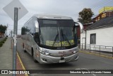 Buses Bio Bio 385 na cidade de Valdivia, Valdivia, Los Ríos, Chile, por Sebastián Ignacio Alvarado Herrera. Número da foto: #12621239.