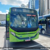 BB Transportes e Turismo 1385 na cidade de Barueri, São Paulo, Brasil, por Michel Nowacki. Número da foto: #12621175.