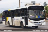 Viação Sul Fluminense 1219 na cidade de Volta Redonda, Rio de Janeiro, Brasil, por Paulo Henrique Pereira Borges. Número da foto: #12620742.