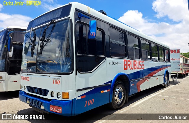 Brubuss Transportes 100 na cidade de Barueri, São Paulo, Brasil, por Carlos Júnior. Número da foto: #12623970.