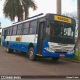 Transporte Rural 3914 na cidade de Severínia, São Paulo, Brasil, por Miguel Castro. Número da foto: #12622763.