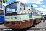 Associação de Preservação de Ônibus Clássicos 02 319 na cidade de Barueri, São Paulo, Brasil, por Carlos Júnior. Número da foto: #12625866.