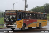 TLGSA - Transporte Loma Grande S.A. - Línea 132 > Transporte LomaGrandense S.A. 1274 na cidade de Caacupé, Cordillera, Paraguai, por José Paredes. Número da foto: #12626133.