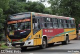 TLGSA - Transporte Loma Grande S.A. - Línea 132 > Transporte LomaGrandense S.A. 1271 na cidade de Caacupé, Cordillera, Paraguai, por José Paredes. Número da foto: #12626121.