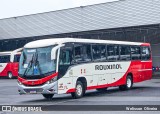 Rouxinol 2375 na cidade de Belo Horizonte, Minas Gerais, Brasil, por Welisson  Oliveira. Número da foto: #:id.