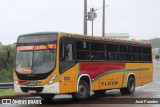 TLGSA - Transporte Loma Grande S.A. - Línea 132 > Transporte LomaGrandense S.A. 029 na cidade de Caacupé, Cordillera, Paraguai, por José Paredes. Número da foto: #12625990.