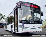 Transportes Coronado 00 na cidade de Guápiles, Pococí, Limón, Costa Rica, por Andrés Martínez Rodríguez. Número da foto: #12626221.