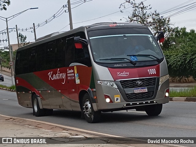 Kadiny Locadora 1000 na cidade de Cotia, São Paulo, Brasil, por David Macedo Rocha. Número da foto: #12627562.