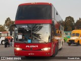 Pluma Conforto e Turismo 7012 na cidade de Curitiba, Paraná, Brasil, por Ricardo Matu. Número da foto: #:id.