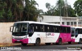 Applied Transportes de Passageiros 41230 na cidade de Ourinhos, São Paulo, Brasil, por Francisco Ivano. Número da foto: #12629545.