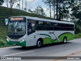 Turin Transportes 1375 na cidade de Congonhas, Minas Gerais, Brasil, por Eduardo Vieira. Número da foto: #12627193.
