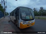 Lince 35 na cidade de Asunción, Paraguai, por Eduardo Dodero. Número da foto: #12627996.