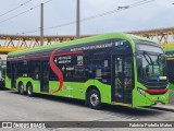Himalaia Transportes > Ambiental Transportes Urbanos 4 1110 na cidade de São Paulo, São Paulo, Brasil, por Fabrício Portella Matos. Número da foto: #12627806.