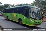 Pássaro Verde 19168 na cidade de Belo Horizonte, Minas Gerais, Brasil, por Gabriel Costa Guimarães. Número da foto: #:id.