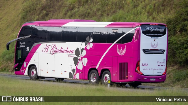 A Gladiadora Turismo 3232 na cidade de Joinville, Santa Catarina, Brasil, por Vinicius Petris. Número da foto: #11857226.