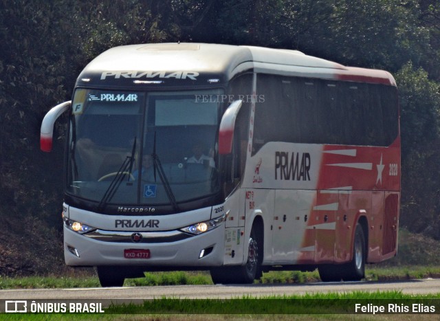 Primar Navegações e Turismo 2020 na cidade de Agudos, São Paulo, Brasil, por Felipe Rhis Elias. ID da foto: 11862783.