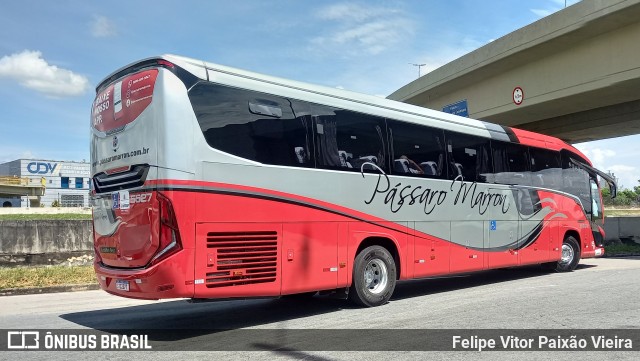 Empresa de Ônibus Pássaro Marron 5527 na cidade de São José dos Campos, São Paulo, Brasil, por Felipe Vitor Paixão Vieira. ID da foto: 11865819.