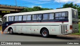 Ônibus Particulares 8429 na cidade de Goiânia, Goiás, Brasil, por Carlos Júnior. Número da foto: #11865477.