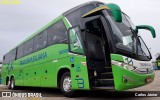 Transbrasiliana Transportes e Turismo 50901 na cidade de Goiânia, Goiás, Brasil, por Carlos Júnior. Número da foto: #11867146.