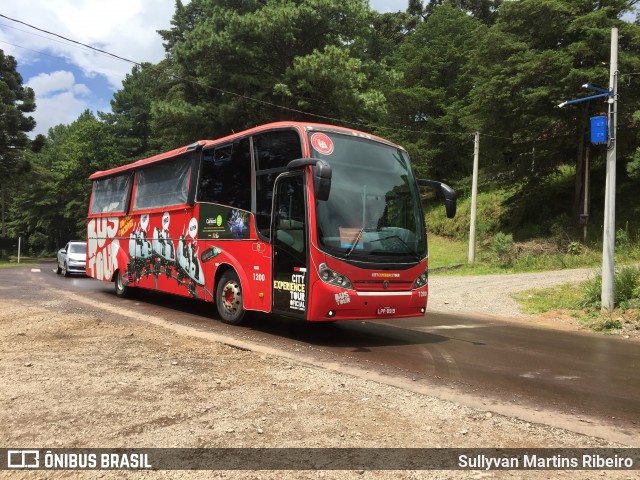 Privato Bus Tour 1200 na cidade de Canela, Rio Grande do Sul, Brasil, por Sullyvan Martins Ribeiro. Número da foto: #11870122.