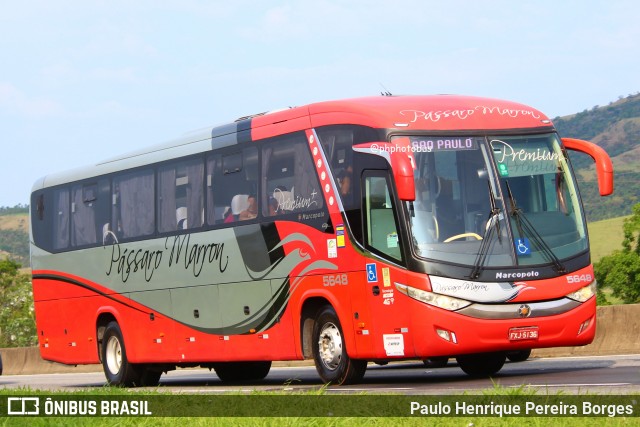 Empresa de Ônibus Pássaro Marron 5648 na cidade de Roseira, São Paulo, Brasil, por Paulo Henrique Pereira Borges. ID da foto: 11871498.