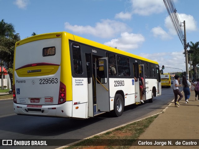 Viação Pioneira 229563 na cidade de Brasília, Distrito Federal, Brasil, por Carlos Jorge N.  de Castro. Número da foto: #11874534.