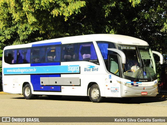 Auto Viação Bragança 11.002 na cidade de São Paulo, São Paulo, Brasil, por Kelvin Silva Caovila Santos. ID da foto: 11879811.