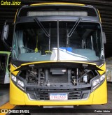 Volkswagen Ônibus e Caminhões - MAN Latin America 22260 na cidade de Goiânia, Goiás, Brasil, por Carlos Júnior. Número da foto: #11879943.