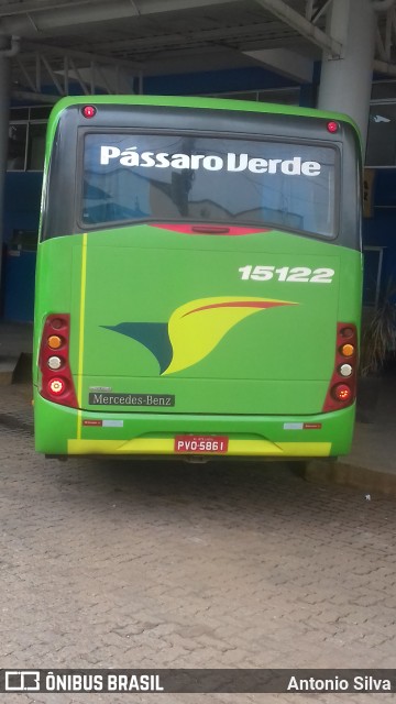 Pássaro Verde 15122 na cidade de Santa Bárbara, Minas Gerais, Brasil, por Antonio Silva. Número da foto: #11883650.
