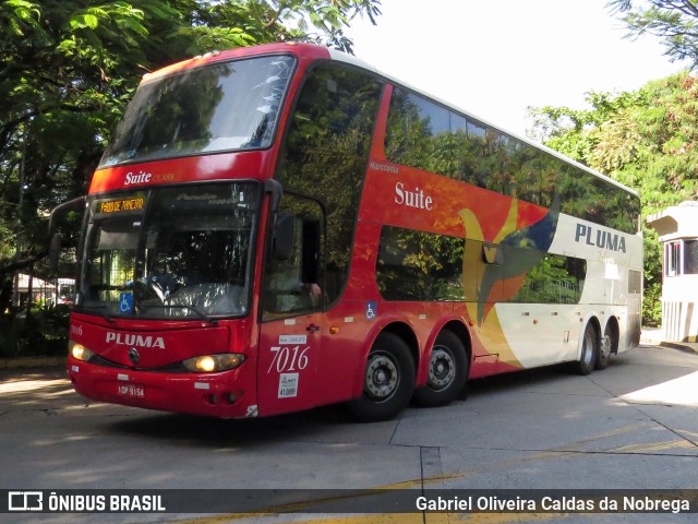 Pluma Conforto e Turismo 7016 na cidade de São Paulo, São Paulo, Brasil, por Gabriel Oliveira Caldas da Nobrega. Número da foto: #11884412.