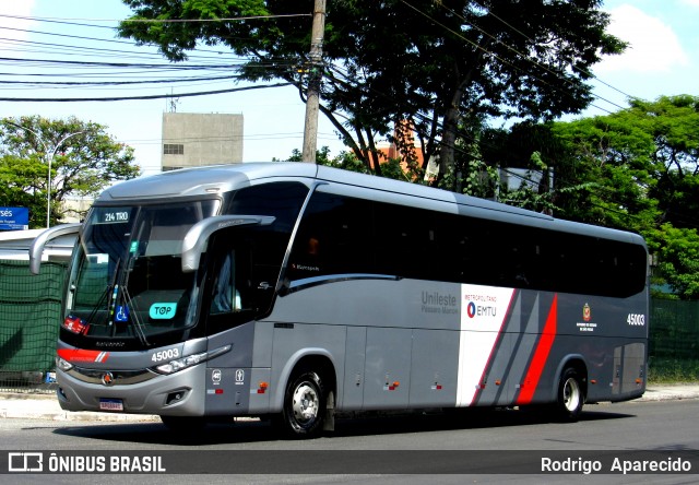 Empresa de Ônibus Pássaro Marron 45003 na cidade de São Paulo, São Paulo, Brasil, por Rodrigo  Aparecido. ID da foto: 11883797.