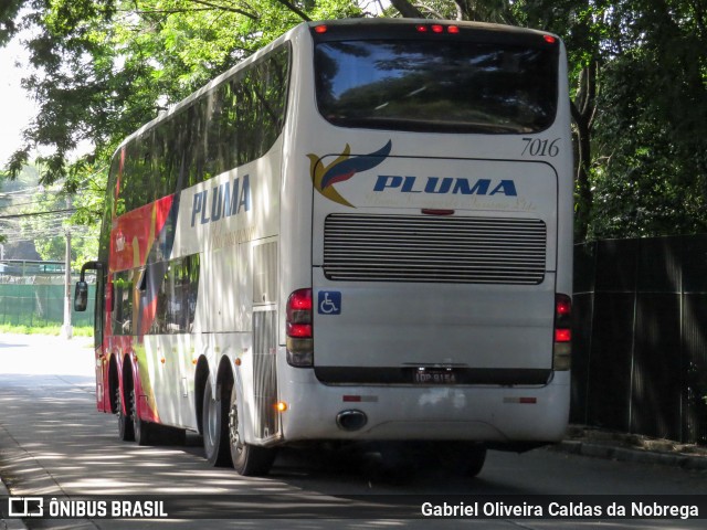 Pluma Conforto e Turismo 7016 na cidade de São Paulo, São Paulo, Brasil, por Gabriel Oliveira Caldas da Nobrega. Número da foto: #11884415.
