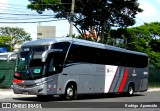 Empresa de Ônibus Pássaro Marron 45003 na cidade de São Paulo, São Paulo, Brasil, por Rodrigo  Aparecido. Número da foto: #11883797.