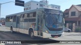 Viação Nossa Senhora Conquistadora 528 na cidade de Pelotas, Rio Grande do Sul, Brasil, por Patrick Coutinho Lemos. Número da foto: #:id.
