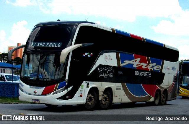 Arte Transportes e Turismo 20000 na cidade de São Paulo, São Paulo, Brasil, por Rodrigo  Aparecido. Número da foto: #11887710.