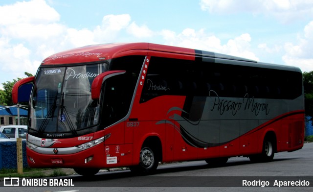 Empresa de Ônibus Pássaro Marron 5937 na cidade de São Paulo, São Paulo, Brasil, por Rodrigo  Aparecido. Número da foto: #11889220.