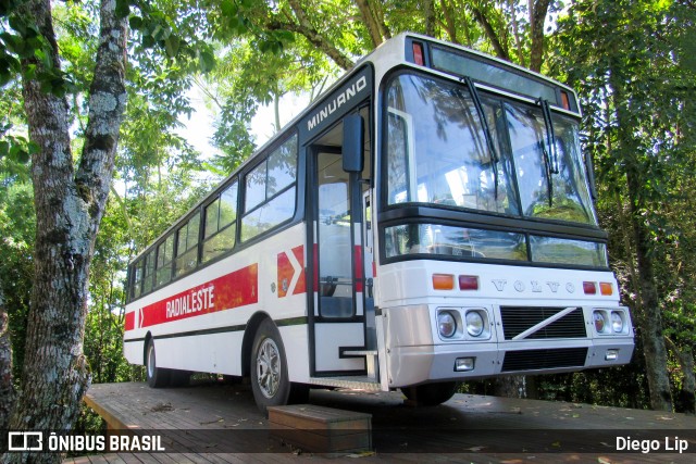 Ônibus Particulares RADIALESTE na cidade de Pinhalzinho, Santa Catarina, Brasil, por Diego Lip. Número da foto: #11889326.
