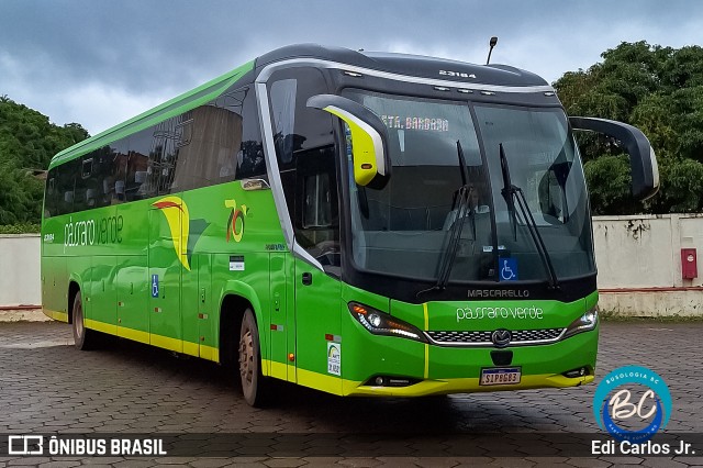 Pássaro Verde 23184 na cidade de Barão de Cocais, Minas Gerais, Brasil, por Edi Carlos Jr.. Número da foto: #11892521.