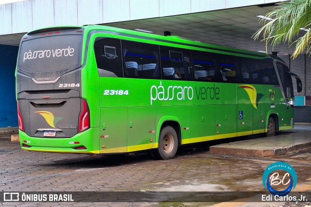 Pássaro Verde 23184 na cidade de Barão de Cocais, Minas Gerais, Brasil, por Edi Carlos Jr.. ID da foto: 11892529.