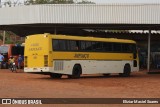 Japiaçu 020 na cidade de Peritoró, Maranhão, Brasil, por Eliziar Maciel Soares. Número da foto: #11893477.