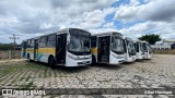 Terra Auto Viação 004 na cidade de Paulínia, São Paulo, Brasil, por Allan Henrique. Número da foto: #11895553.