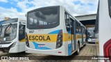 Terra Auto Viação 007 na cidade de Paulínia, São Paulo, Brasil, por Allan Henrique. Número da foto: #11895503.