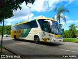 Empresa Gontijo de Transportes 7085 na cidade de Ipatinga, Minas Gerais, Brasil, por Celso ROTA381. Número da foto: #11895495.