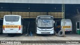 Terra Auto Viação 005 na cidade de Paulínia, São Paulo, Brasil, por Allan Henrique. Número da foto: #11895506.