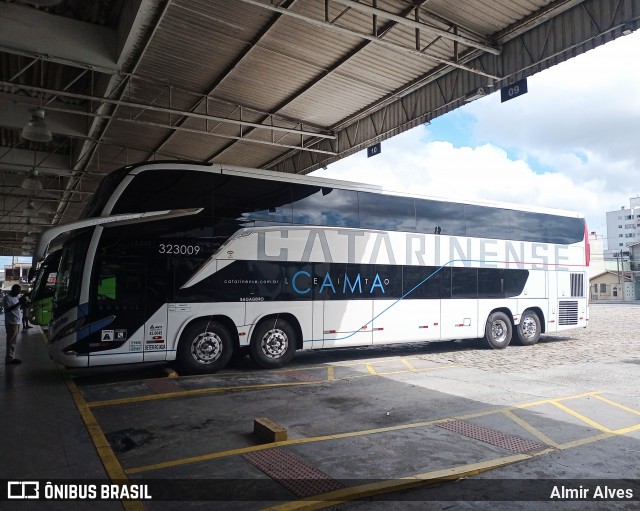 Auto Viação Catarinense 323008 na cidade de Balneário Camboriú, Santa Catarina, Brasil, por Almir Alves. Número da foto: #11898091.
