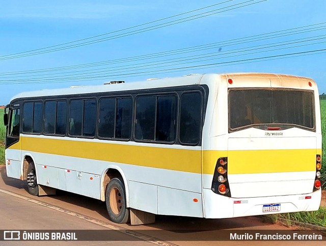 Escolares 3042 na cidade de Junqueiro, Alagoas, Brasil, por Murilo Francisco Ferreira. Número da foto: #11897487.