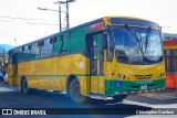 Escalamon SJB 10954 na cidade de Occidental, Cartago, Cartago, Costa Rica, por Christopher Gamboa. Número da foto: #11897491.